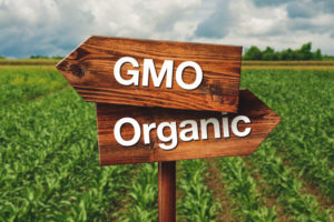 Gmo or Organic Farming Direction Sign